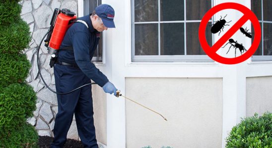 Patnos Böcek İlaçlama böcek ilaçlama ve haşere kontrolü — ilaclama-tr.com